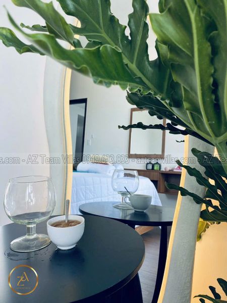 VT-MERMAID-TRUHO-1403