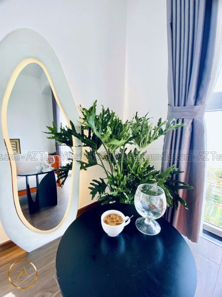 VT-MERMAID-TRUHO-1403