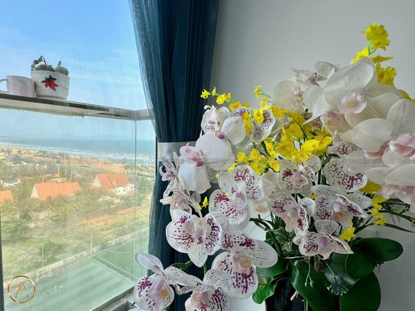 VT-MERMAID-TRUHO-1102