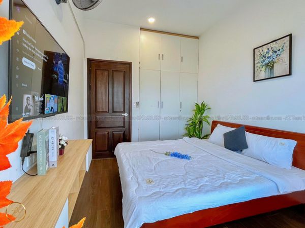 VT-MERMAID-TRUHO-1503