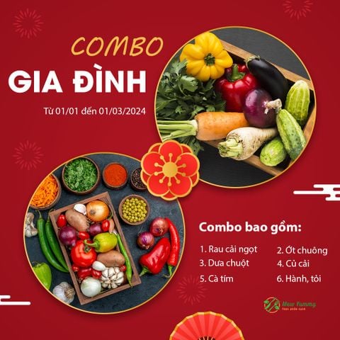 Combo gia đình