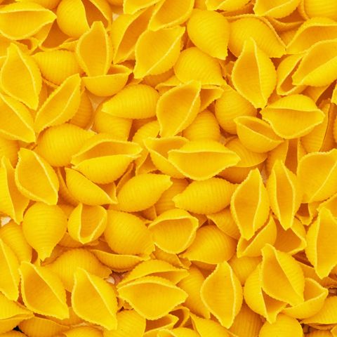 Collezione Pasta Orecchiette