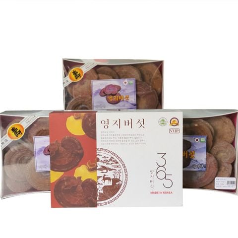 Nấm linh chi núi có bào tử 365 Hàn Quốc hộp 1kg