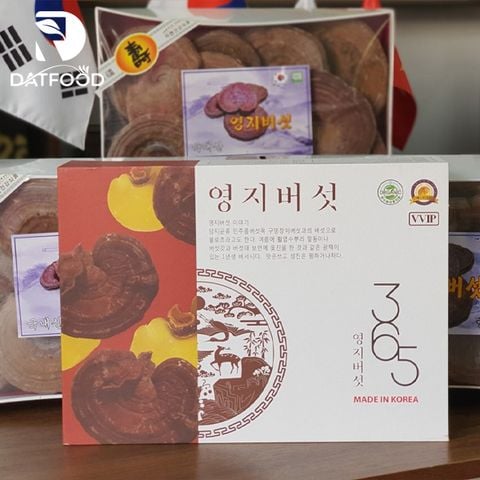 Nấm linh chi có bào tử 365 Hàn Quốc hộp 1kg