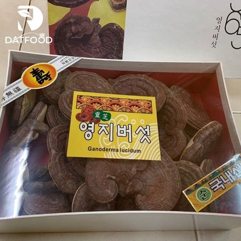 Nấm linh chi có bào tử 365 Hàn Quốc hộp 1kg