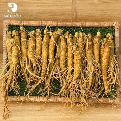 Cách nấu sâm tươi với táo đỏ - Hướng dẫn chi tiết cho món ăn bổ dưỡng