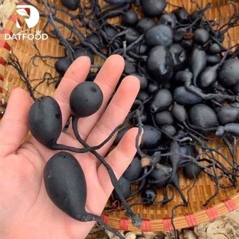 Hình ảnh nấm ô linh chất lượng.
