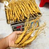 Sâm tươi hầm gà Hàn Quốc loại 40-50 củ 1 ký