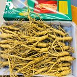 Sâm tươi hầm gà Hàn Quốc loại 40-50 củ 1 ký