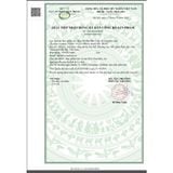  Viên uống bổ sung kẽm DoppelHerz Zincodin hộp 30 viên 