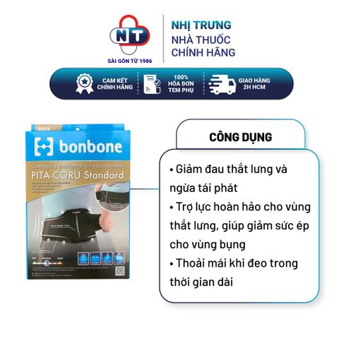  Đai hỗ trợ vùng thắt lưng Bonbone Pita Coru Standard hộp 1 đai 