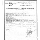  Viên uống giảm đau xương khớp Cốt Thoái Vương hộp 30 viên 