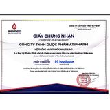  Đai hỗ trợ vùng thắt lưng Bonbone Pita Coru Standard hộp 1 đai 