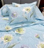  Bộ Drap Victoria TLV05 