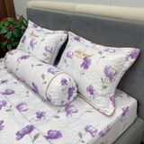  Bộ Drap White Swan TLC542 