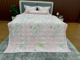  Bộ Drap White Swan TLC505 