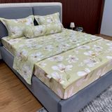  Bộ Drap White Swan TLC519 