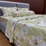  Bộ Drap White Swan TLC519 