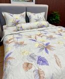  Bộ Drap Victoria TLV27 