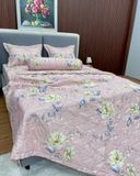  Bộ Drap Victoria TLV25 
