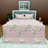  Bộ Drap Victoria TLV25 