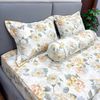 Bộ Drap White Swan TLC513