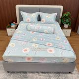  Bộ Drap White Swan TLC525 