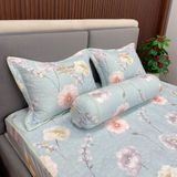  Bộ Drap White Swan TLC525 