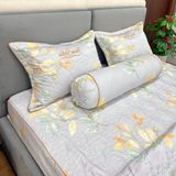  Bộ Drap White Swan TLC524 