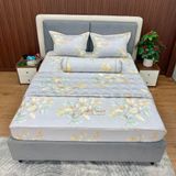  Bộ Drap White Swan TLC524 