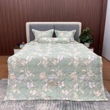  Bộ Drap White Swan TLC521 