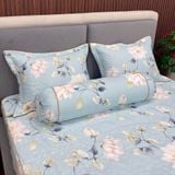  Bộ Drap Victoria TLV07 