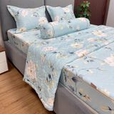  Bộ Drap Victoria TLV07 