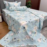  Bộ Drap Victoria TLV07 