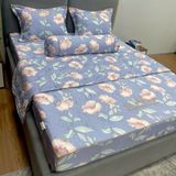  Bộ Drap White Swan TLC456 