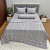  Bộ Drap Forever Không Chần Gòn Họa Tiết FB03 