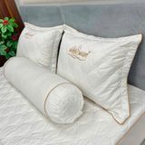  Bộ Drap White Swan TLC01 