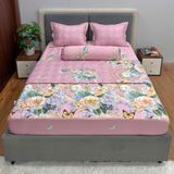  Bộ Drap Victoria TLV19 