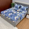  Bộ Drap Cotton Đũi Angel AG17 