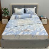  Bộ Drap White Swan TLC436 