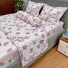  Bộ Drap Cotton Đũi Angel AG05 