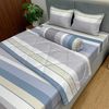  Bộ Drap Forever Không Chần Gòn Họa Tiết FB30 
