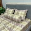  Bộ Drap Forever Không Chần Gòn Họa Tiết FB36 