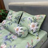  Bộ Drap Victoria TLV89 