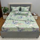  Bộ Drap Victoria TLV89 