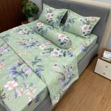  Bộ Drap Victoria TLV89 