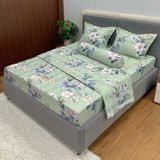  Bộ Drap Victoria TLV89 