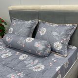  Bộ Drap Victoria TLV78 