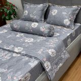  Bộ Drap Victoria TLV78 