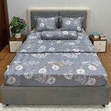  Bộ Drap Victoria TLV78 